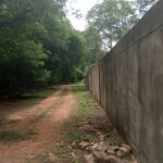 ปธ.ชมรมคนรักผืนป่า เตรียมยื่น ศปป.4 ตรวจสอบ บริษัทดัง