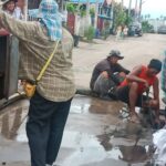 ร่มเงาไม้ ชื่นชม