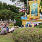 คืบหน้า…เกษตรกรชาวนาตำบลวังศาลา กราบพระบรมฉายาลักษณ์รัชกาลที่ 9