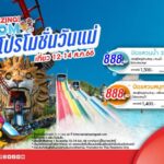 สยามอะเมซิ่งพาร์ค ต้อนรับ “วันแม่แห่งชาติ” จัดโปรฯ AMAZING! MOM เลือกแพ็คเกจเที่ยวสวนน้ำหรือสวนสนุก เพียง 888.-