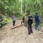 ลุยพื้นที่ตรวจสอบ ข่าวการ ลักลอบทำไม้