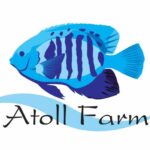 คนไทยทำได้