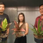 อำเภอไทรน้อยร่วมกับสหกรณ์การเกษตรไทรน้อย และสวนพลอยชนก ขอเชิญชวนประกวดพันธุ์ไม้งามไม้ประดับ