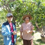 สองตายายทดแทนคุณแผ่นดินเปิดศูนย์เรียนรู้ ปลูกมะนาวพันธุ์โคตรดก