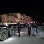 รวบขบวนการตัดโค่นไม้ท่อนในพื้นที่ป่าสงวนยึดไม้ยางท่อนได้จำนวน 29 ท่อน