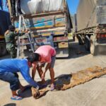 เจ้าของยางพาราทรานสิต @สังขละบุรี ร้องสื่อ