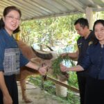 กิจกรรมครบรอบ 55 ปี โครงการพัฒนาผู้นำอาสาพัฒนาชุมชน