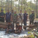 รวบ 2 หนุ่มไทยลอบตัดไม้ชิงชันกลางป่าเทือกเขาพนมดงรักอำเภอภูสิงห์