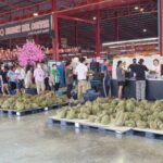 ประเด็นคนแห่ซื้อทุเรียนราคาถูกหมือนแจกฟรี