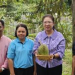 “ทุเรียนนนท์แท้ รองผวจ.นนท์รับประกันตัดเองที่สวน”