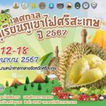 สวนทุเรียนภูเขาไฟแทบแตก นักท่องเที่ยวทะลักแห่ชิมช้อปแน่น ขณะที่ราคาพุ่ง กก.ละ 250 บาท