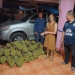 “ทุเรียนภูเขาไฟศรีสะเกษดังไกล สาวขับรถหรู BMW มาขโมยทุเรียนภูเขาไฟในสวน 142 ลูก ”
