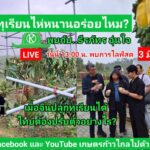 ซินเจนทา ส่ง “เดียวพาวเวอร์” สุดยอดเทคโนโลยีชิวภาพ