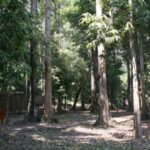 กาญจนบุรี – จัดเตรียมสรีระสังขานพระยันตระ