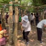 ศรีสะเกษ/ การยางแห่งประเทศไทยจังหวัด