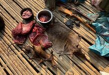 จนท.อุทยานฯ ทองผ้าภูมิ บุกป่าลุยเขา จับ