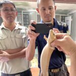 ตำรวจ รวบ ลักรอบสัตว์สงวนมาเพียบ