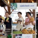 ไม่ใช่แค่ปลูกดี แต่ต้องกินดี ชินเจนทา ผนึกกำลังกับพันธมิตรสร้างเครือข่ายอาหารปลอดภัย