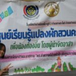 นนทบุรี กิจกรรมจิตอาสาพระราชทาน “พช.ทำความดี ด้วยหัวใจ”