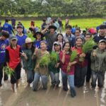 เกษตรศาสตร์ ม.อุบลฯ นำน้องใหม่เรียนรู้เชิงปฏิบัติด้านการทำนา สืบสานภูมิปัญญาท้องถิ่นไทย ผ่านโครงการมือเรียวรอเกี่ยวรวง ระยะที่ 1 ช่วงดำนา