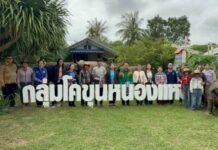 ยโสธรลุ้น โคขุนหนองแหน สุดยอดวิสาหกิจชุมชนดีเด่นระดับประเทศ