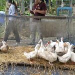 นนทบุรี โครงการคัดเลือกหมู่บ้านเข็มแข็ง แผ่นดินธรรม