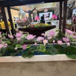 สมุทรปราการ 26968 แถลงข่าวการจัดงานประเพณี รับบัว 1 เดียวในโลก แห่งเดียวในประเทศไทย