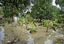 เกษตรนนท์ ติดตามสถานการณ์น้ำในพื้นที่ตำบลท่าอิฐ อำเภอปากเกร็ด จังหวัดนนทบุรี วันที่ 10 พฤศจิกายน 2568 นางพลัศริญญา อมร