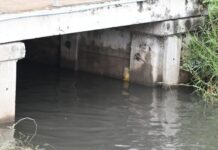 นนทบุรี-ผู้ว่าฯ ลงพื้นที่ติดตามการระบายน้ำบริเวณคลองส่วย ถนนประชานิเวศน์