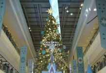 นนทบุรี -เซ็นทรัล เวสต์เกต ฉลองเปิดไฟต้นคริสต์มาส “The Magical Star: The Light Ceremony 2026”