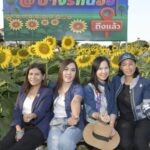 นนทบุรี-เปิดกิจกรรม “เกี่ยวข้าวชมทุ่งดอกทานตะวัน กลางใจเมืองนนท์ที่บางรักน้อย” ส่งเสริมการท่องเที่ยวชุมชน