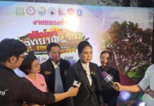 ปีใหม่นี้ เตรียมพบกับ มหกรรมเปิดโลกอุทยานธรณี ที่ผาแต้ม