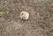 ขนลุก!! วิญญาณสาวเฮี้ยน เข้าฝันหนุ่มลาว “บอกหิวข้าว” พอรุ่งเช้าเจอหัวกะโหลกคนในสวน