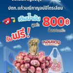 พาณิชย์กาญจน์ ผนึก ปตท. แจกหอมแดงศรีสะเกษ GI หนุนเกษตรกร เติมน้ำมัน 800 บาท รับฟรีเริ่ม 12 ก.พ.นี้