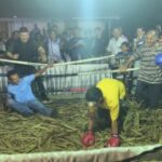 ชกกันงานวัดซัดกันหน้าหงายไม่เว้นแม้แต่กรรมการ