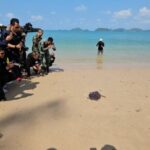 กปร. นำคณะสื่อมวลชนลงพื้นที่สัตหีบ เปิดภารกิจ “ศูนย์อนุรักษ์พันธุ์เต่าทะเล” สืบสานพระราชดำริ ฟื้นชีวิตเต่าทะเล คืนสมดุลระบบนิเวศสู่ท้องทะเลไทย”