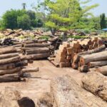 รมว.ทส.สุชาติ” มอบที่ปรึกษา พร้อมอธิบดี กรมอุทยานฯ กรมป่าไม้ ร่วมกับ DSI บก.ปทส. และจว.พระนครศรีอยุธยา ผนึกกำลังตรวจสอบโกดังบางปะหัน พบไม้ต้องสงสัยกองใหญ่ สั่ง! เร่งขยายผลขบวนการค้าไม้