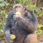 สดชื่นทั่วสวน! สวนสัตว์เปิดเขาเขียว จัดกิจกรรมคลายร้อนสัตว์ป่า เสิร์ฟ “หวานเย็นผลไม้” เสริมพฤติกรรมธรรมชาติ