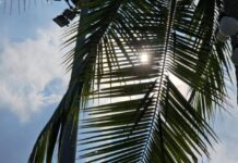 แพทย์เตือน! “โรคลมแดด” อันตรายกว่าที่คิด แนะวิธีปฐมพยาบาลและป้องกันรับมืออากาศร้อนจัด