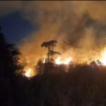 ชาวบ้านตื่นตระหนกเหตุเพลิงไหม้ป่าหลังห้างโลตัสกาญจนบุรีแม่เมืองกาญจน์”วริษฐา”สั่งการด่วนให้”รองผู้ว่าวุฒิพงษ์”ควบคุมสถานการณ์ระดมรถดับเพลิงเร่งดับไฟ