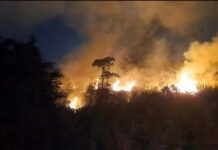 ชาวบ้านตื่นตระหนกเหตุเพลิงไหม้ป่าหลังห้างโลตัสกาญจนบุรีแม่เมืองกาญจน์”วริษฐา”สั่งการด่วนให้”รองผู้ว่าวุฒิพงษ์”ควบคุมสถานการณ์ระดมรถดับเพลิงเร่งดับไฟ