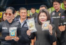 ผู้ว่าฯ ฉะเชิงเทรา เปิดกิจกรรม “ลงแขกลงคลอง จับปลาหมอคางดำ” ผนึกพลังทุกภาคส่วน ฟื้นฟูระบบนิเวศแหล่งน้ำ สร้างความตระหนักรู้แก่ประชาชน