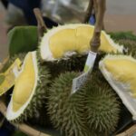 นนทบุรี-เทศบาลเมืองไทรม้าขอเชิญเที่ยวงานทุเรียนนนท์ สวนไทรม้า ครั้งที่ 3