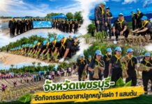 จังหวัดเพชรบุรี จัดกิจกรรมจิตอาสาปลูกหญ้าแฝก 1แสนต้น ในพื้นที่โครงการแก้มลิงลําห้วยใหญ่