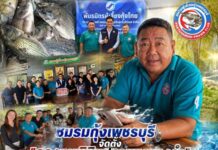 ชมรมกุ้งเพชรบุรี จัดตั้ง“กองทุนพิชิตปลาหมอคางดำเพชรบุรี”สนับสนุนตั้งต้น1แสนบาทสนับสนุนการทำงานของเครือข่ายอาสาสมัครประมงในพื้นที่