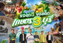 กลุ่มจังหวัดภาคกลางตอนล่าง 1 ผนึกกำลังจัดงาน “มหกรรม ของดี ของเด็ด เกษตร 3 บุรี” ระหว่างวันที่ 10 – 14 มิถุนายน 2569 พื้นที่ Big Zone ชั้น 1 ศูนย์การค้าอิมพีเรียล เวิลด์ สำโรง