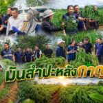มันสำปะหลังกาญจน์! “พาณิชย์ฯ – สมาคมฯ” ผนึกกำลังกู้วิกฤตใบด่าง ดันเปอร์เซ็นต์แป้งพุ่ง