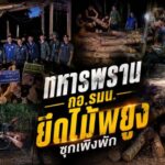 พิกัดหว้านใหญ่! ทหารพราน-กอ.รมน. สนธิกำลังยึดไม้พยูงซุกเพิงพัก 206 ท่อน เร่งล่าตัวการ
