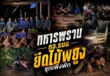 พิกัดหว้านใหญ่! ทหารพราน-กอ.รมน. สนธิกำลังยึดไม้พยูงซุกเพิงพัก 206 ท่อน เร่งล่าตัวการ