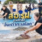 สอ.รฝ. ร่วมรำลึก “วันเต่าทะเลโลก 2569” (World Sea Turtle Day 2026) มุ่งมั่นอนุรักษ์เพื่อนร่วมโลกทางทะเล